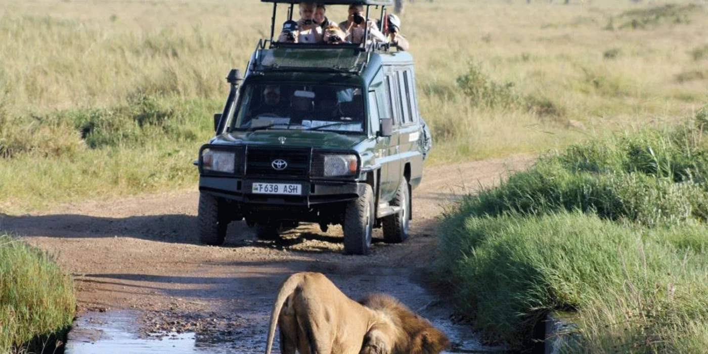 best-tourism-courses-in-uganda