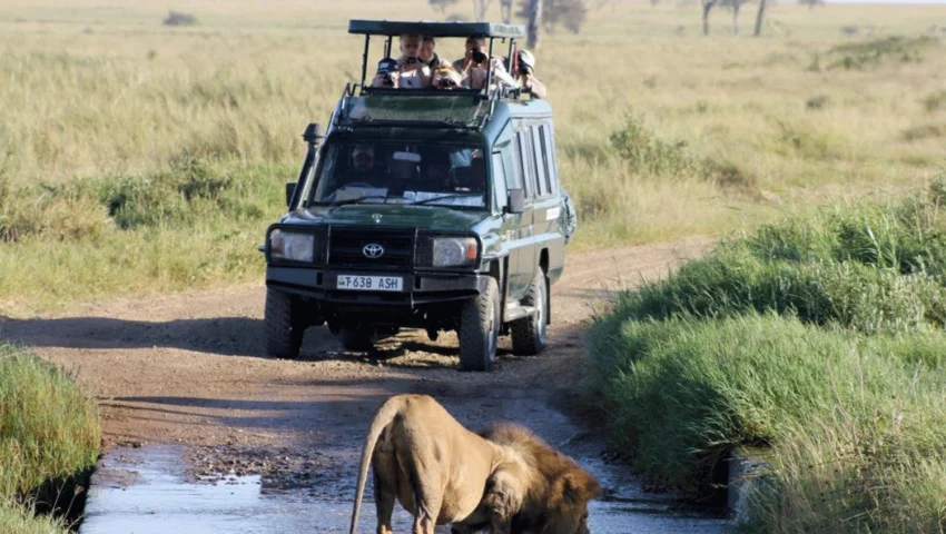 best-tourism-courses-in-uganda